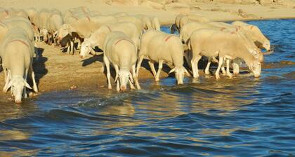 Country House 'La Casa De Salce' with Private Garden and Wi-Fi