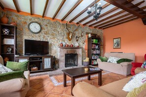 Televisión, chimenea, reproductor de DVD