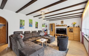 Fernseher, Stereoanlage