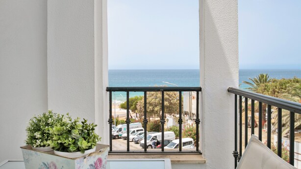 Un balcón con vista al mar, una barandilla y una planta en maceta.