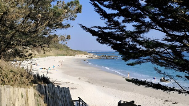 Un escalier en bois mène à une plage. Une clôture en bois se trouve sur la gauche, et l’on a une vue dégagée sur l’océan.