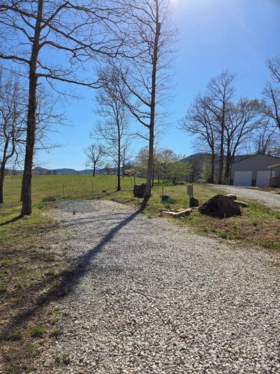 Camping spaces at The Blue Recluse.