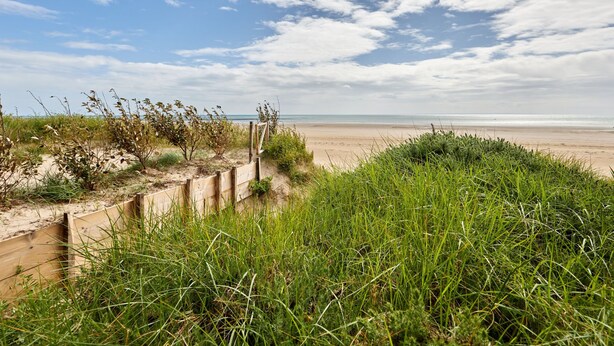 A beach with a wooden fence and grassy dunes.