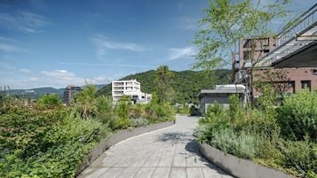 庭園