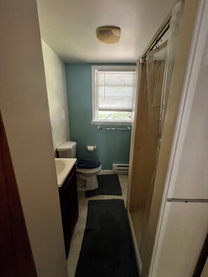 Shower, soap, toilet paper - Cozy Loft Cottage on Hubbard Lake (Hubbard Lake)