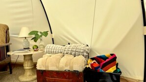 A cozy room with a bed, a lamp, a small table with a plant, a suitcase, and a colorful blanket.