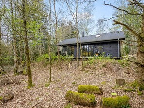 Escape to a secluded cabin surrounded by mature trees and a serene forest environment.