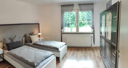 Spacious, newly renovated apartment in southern Burgenland with its own balcony!