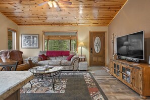 TV, caminetto, impianto stereo