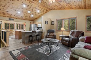 TV, caminetto, impianto stereo