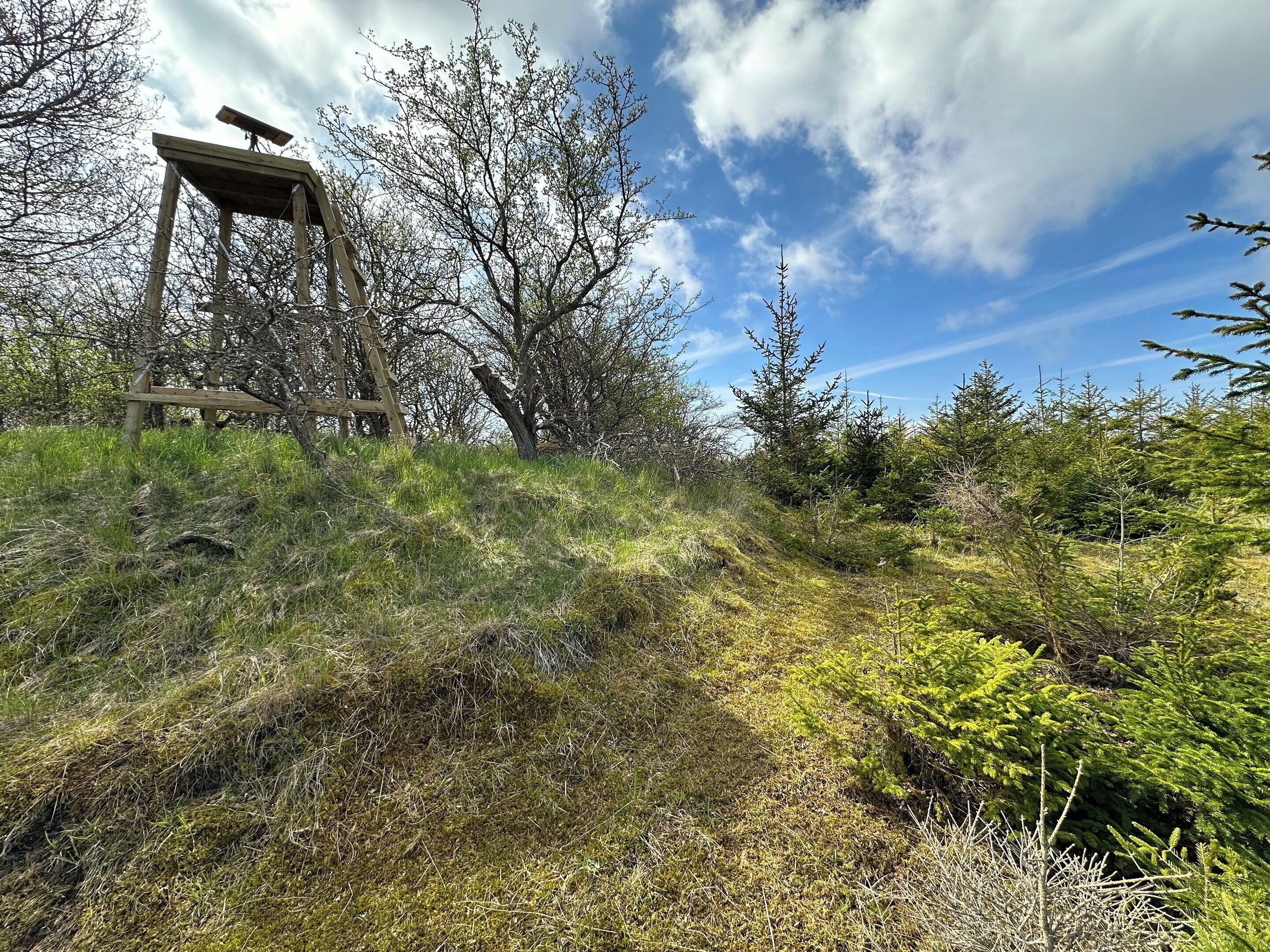 Une structure en bois sur une colline herbeuse, avec des arbres en arrière-plan.