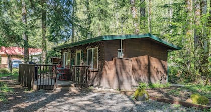 Romantic Small Cabin in the Woods. Fireplace,Hot tub,A/C,Firepit,WiFi, Mt Rainer