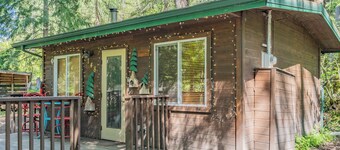 Romantic Small Cabin in the Woods. Fireplace,Hot tub,A/C,Firepit,WiFi, Mt Rainer