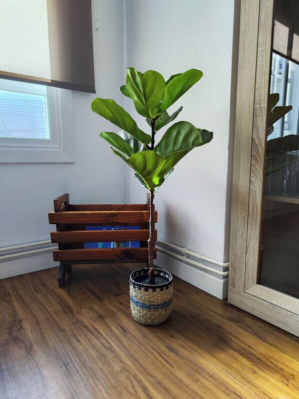 Interior - ¡combina Comodidad y Elegancia con una Ubicación Céntrica y Espacios Modernos! (Ribadeo)