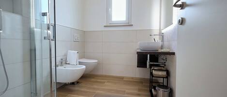A modern bathroom with a glass shower enclosure, a toilet, a bidet, and a sink with a mirror.