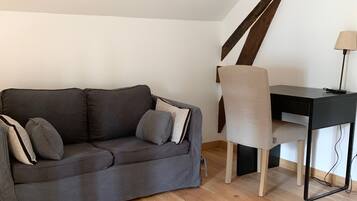 Smart TV, fireplace, books, computer monitors