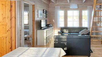 Fernseher, DVD-Player