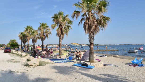 Una playa con palmeras, gente tomando el sol y barcos en el agua.