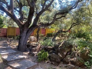 A tree-lined pathway with steps leading to a yellow building with red shutters.
