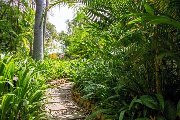 A stone pathway surrounded by lush green foliage and tall trees. - Bougainvillea Retreat  (Maberiyatenna)