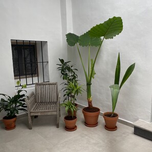 Property grounds - Estudio Renovado muy Confortable en una Casa Antigua del Centro de Tarifa (Tarifa)