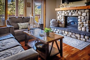 TV, fireplace, offices