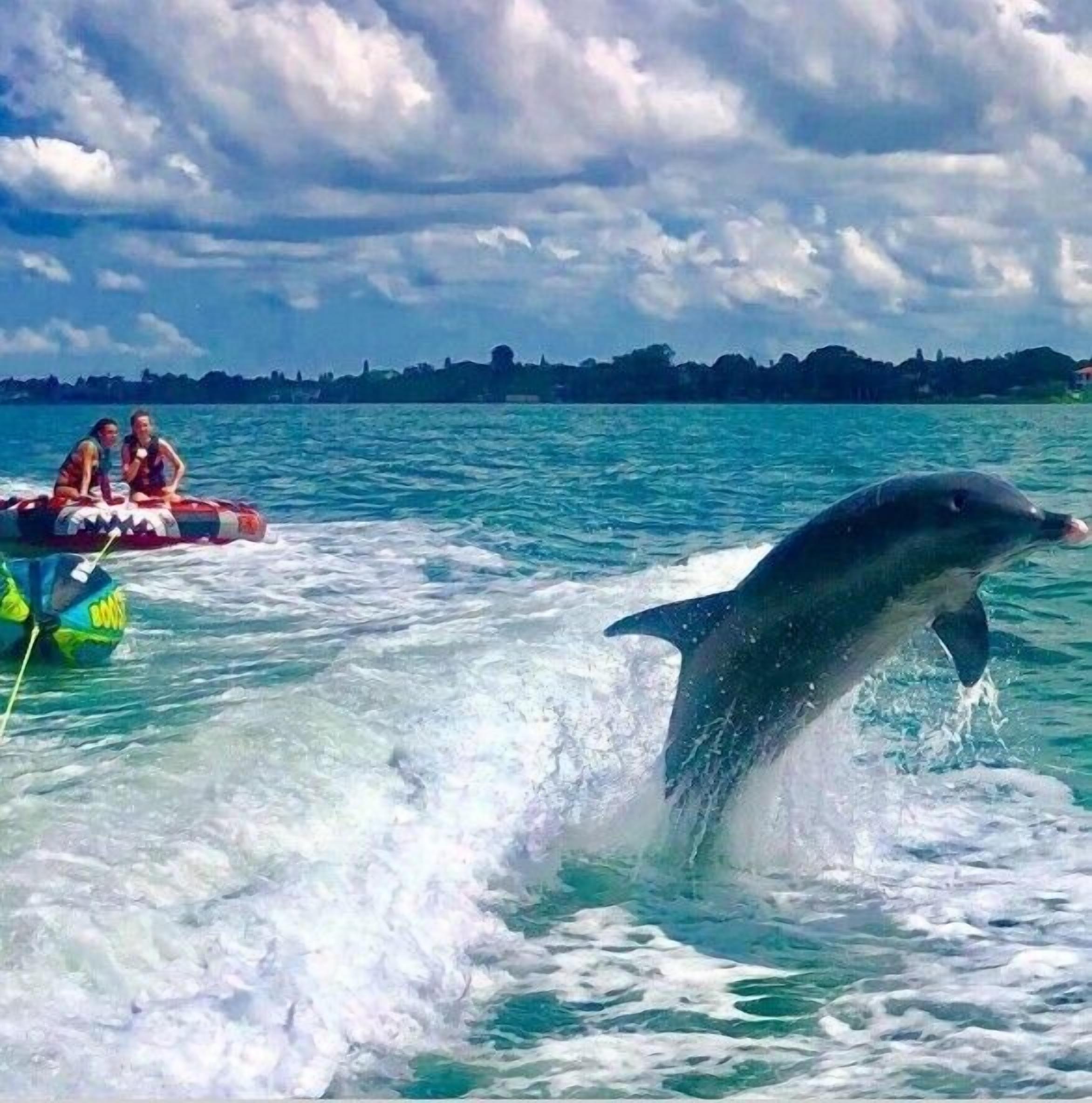A dolphin jumping out of the water near a boat with people on it.