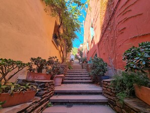 A narrow alleyway with steps leading to a building, surrounded by potted plants and trees. - Renovated T3 House in Collioure, 2 Bedrooms, Balcony (Collioure)