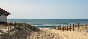 Modern Apartment 400m from Ocean, Sleeps 4, 2 Stars Rating, Forest Edge