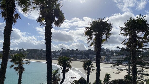 A coastal view with palm trees, a beach, and a cityscape in the background.