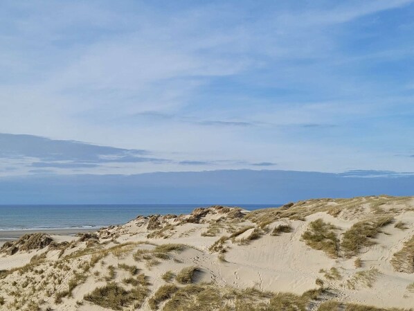 Playa en los alrededores 