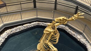 A large golden skeleton sculpture in a reflective pool, surrounded by a stone border and metal railing, with a multi-level balcony in the background.