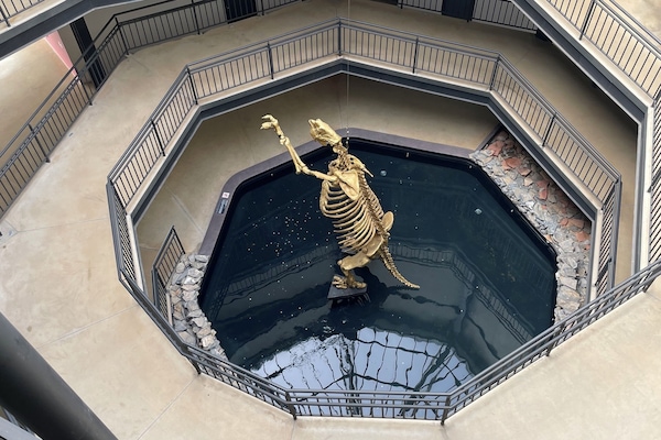 Actividades para niños