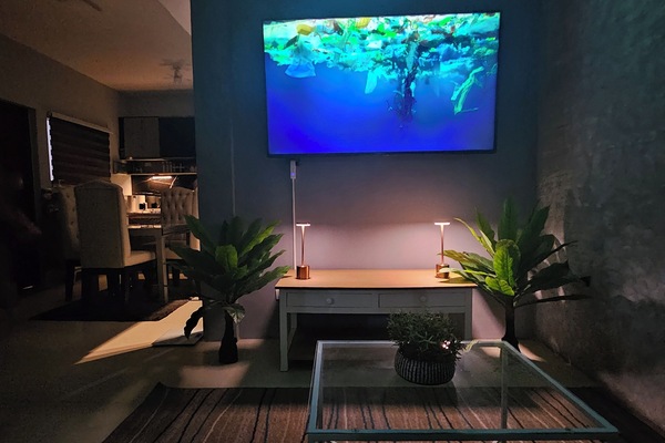 LED TV