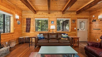 TV, fireplace, video games, DVD player