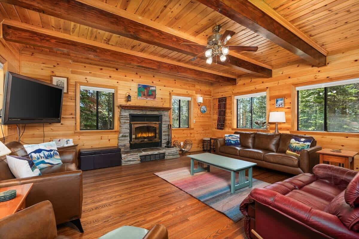 TV, fireplace, video games, DVD player