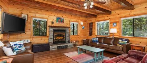 Télévision, cheminée, jeux vidéo, lecteur de DVD