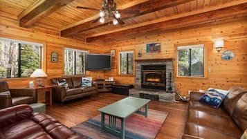 TV, fireplace, video games, DVD player