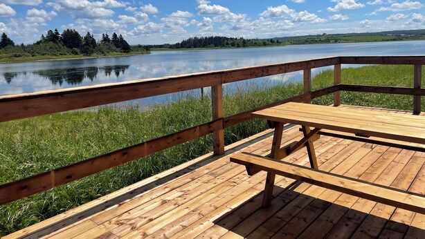 A wooden deck with a bench overlooking a calm lake, surrounded by grassy areas and trees.