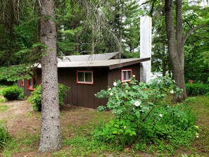 Exterior - Cozy waterfront sunset cottage on Herendeene Lake in Lake Ann, Dock, Dog ok (Lake Ann)