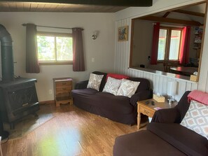 TV connectée, cheminée, livres, écrans d'ordinateur