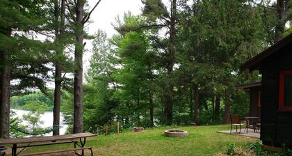 Cozy waterfront sunset cottage on Herendeene Lake in Lake Ann, Dock, Dog ok