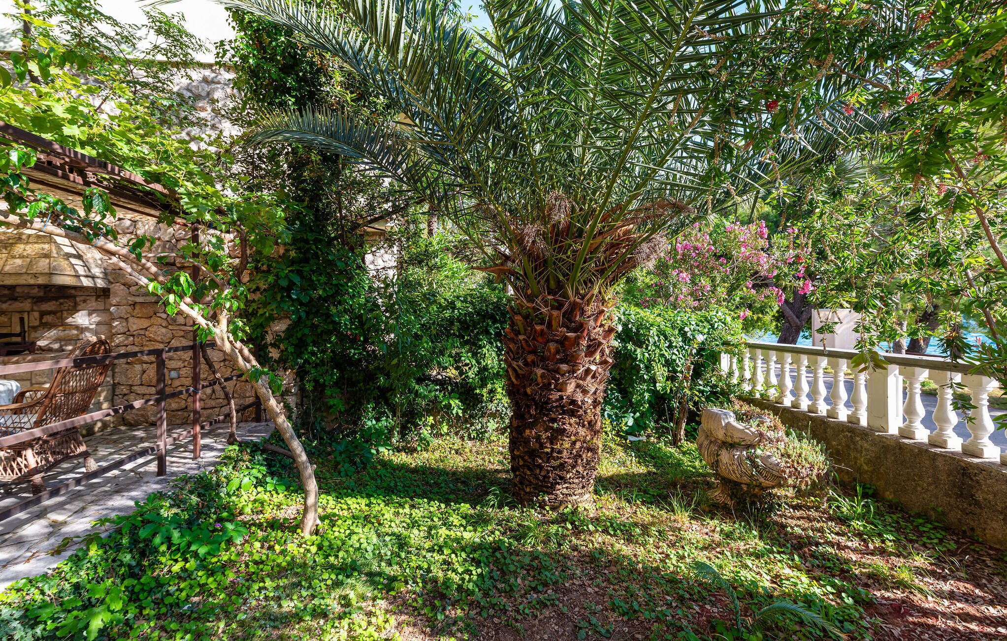A garden with a palm tree, a stone wall, and a white balustrade.