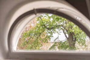A window view of a tree with green leaves and some brown leaves, indicating a mix of seasons.