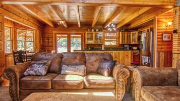 TV, fireplace, DVD player