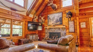 TV, fireplace, DVD player