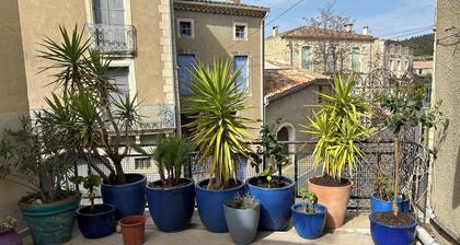 N°14 Causses et Veyran