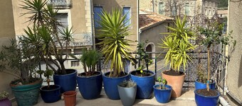 N°14 Causses et Veyran