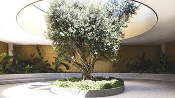 Àrea exterior de l'allotjament