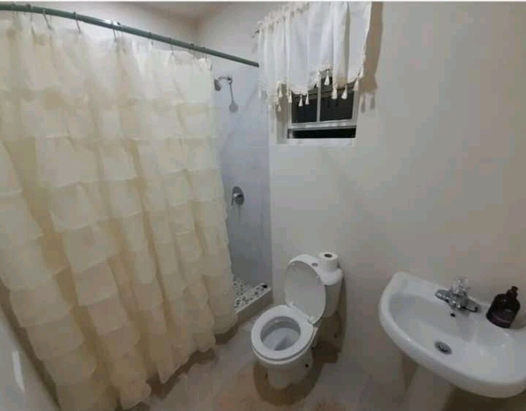 A bathroom with a toilet, sink, and shower curtain.